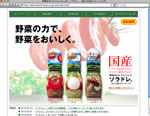 日本食研ソラドレ商品サイト